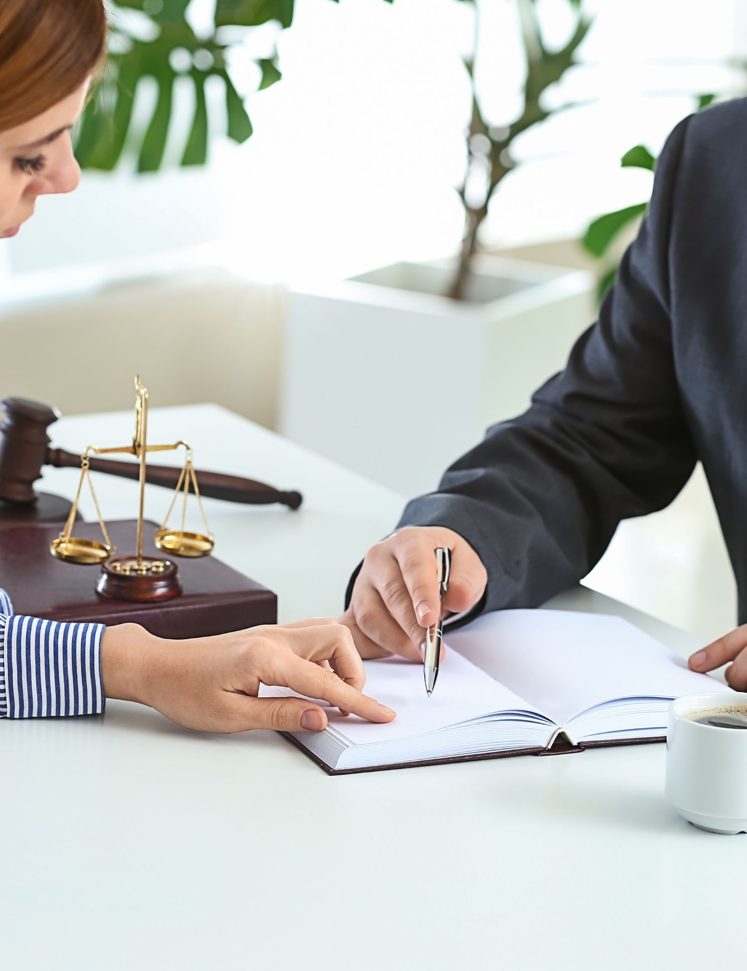 Business Attorney in Clearwater